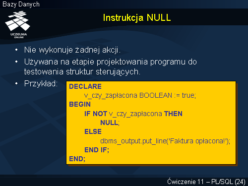 Instrukcja NULL