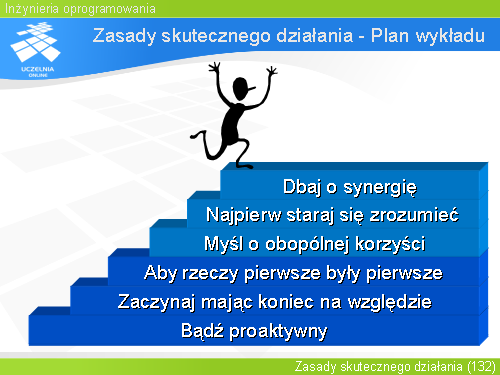 Zasady skutecznego działania - Plan wykładu