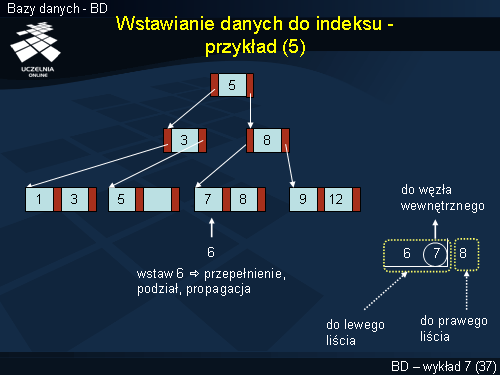 Wstawianie danych do indeksu - przykład (5)