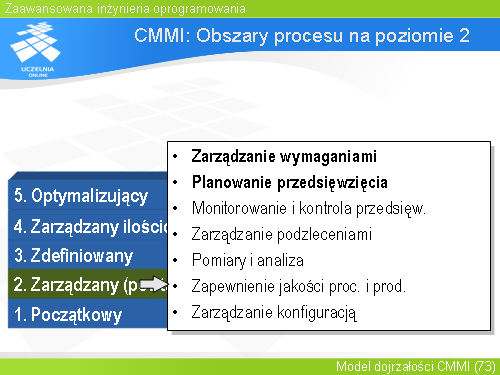 CMMI: Obszary procesu na poziomie 2