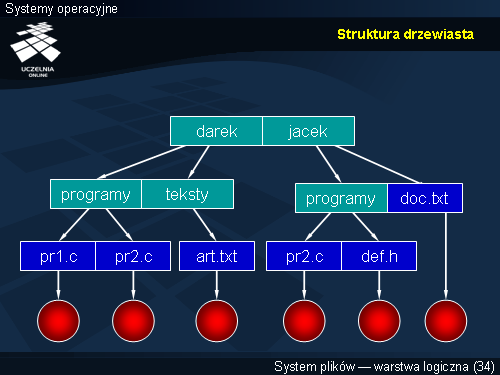 Struktura drzewiasta
