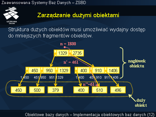 Zarządzanie dużymi obiektami
