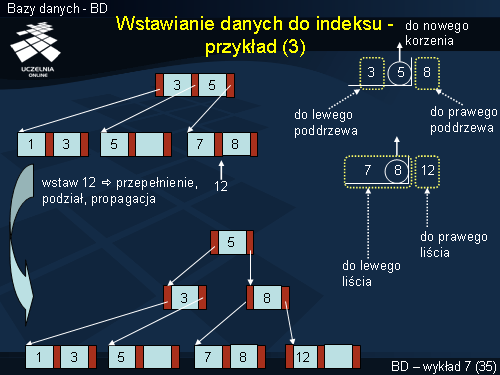 Wstawianie danych do indeksu - przykład (3)