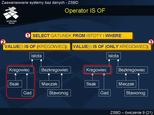 Operator IS OF