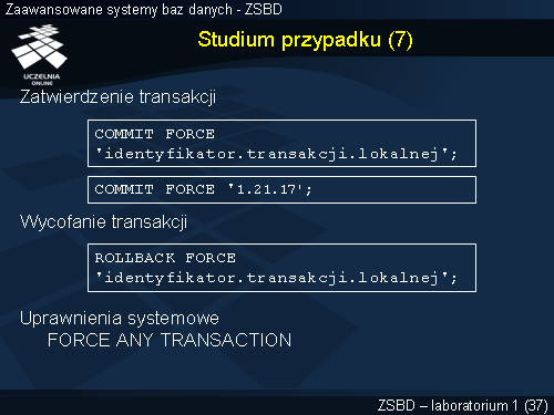 Studium przypadku (7)