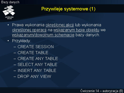 Przywileje systemowe (1)