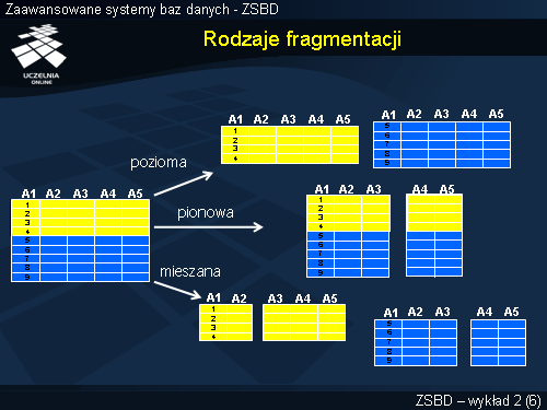 Rodzaje fragmentacji