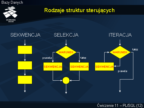 Rodzaje struktur sterujących