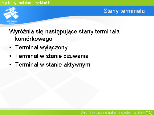Stany terminala