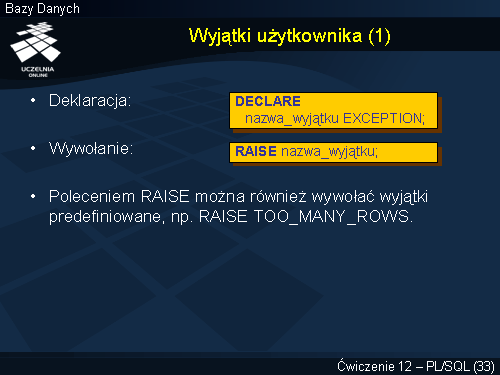 Wyjątki użytkownika (1)