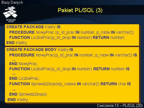 Pakiet PL/SQL (3)