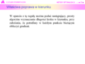 Miniatura wersji z 11:47, 29 wrz 2006
