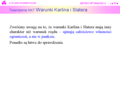 Miniatura wersji z 12:15, 29 wrz 2006