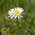 Miniatura wersji z 18:31, 9 maj 2007