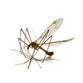 Miniatura wersji z 19:50, 9 maj 2007