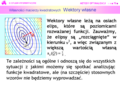 Miniatura wersji z 11:48, 27 wrz 2006