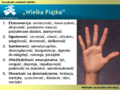 Miniatura wersji z 11:53, 10 sie 2006