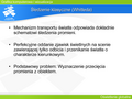 Miniatura wersji z 11:05, 22 lut 2007