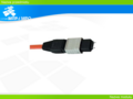 Miniatura wersji z 18:55, 30 wrz 2006