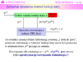 Miniatura wersji z 14:04, 29 wrz 2006